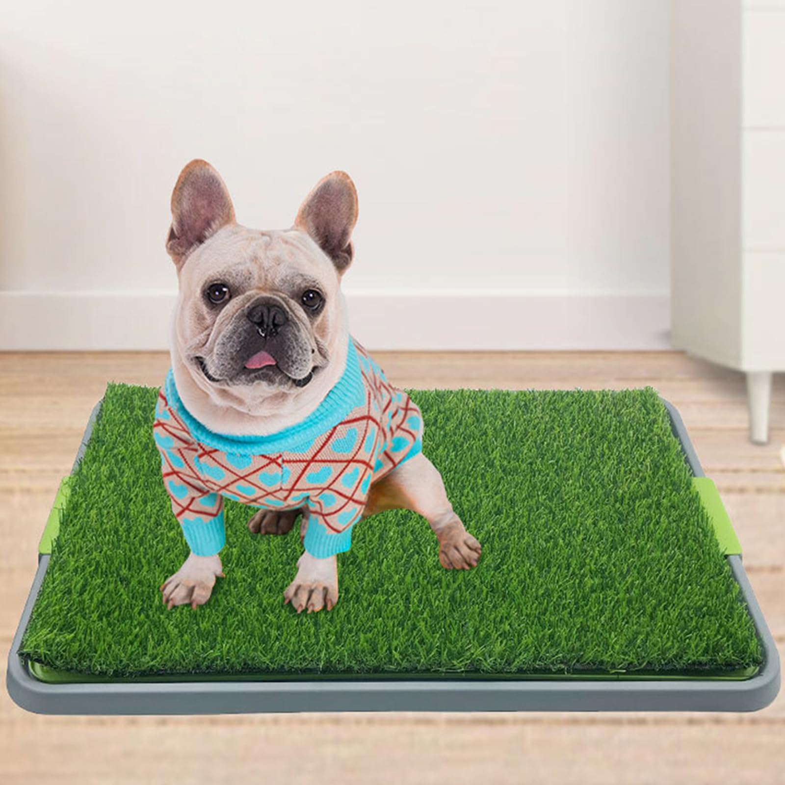 Alfombrilla de Césped para Mascotas